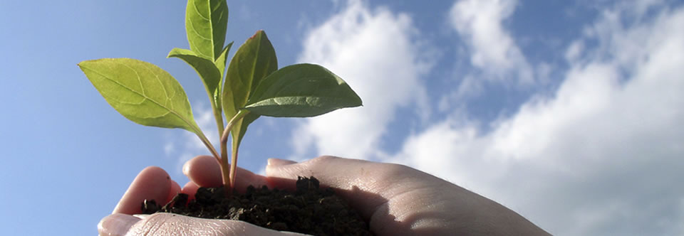 Agro Seguros